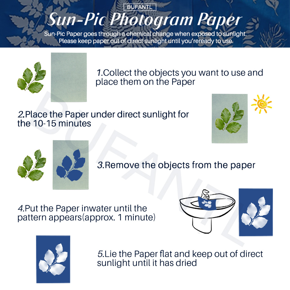 Cyanotype Paper 12 Sheets Refi - Photography Lighting Beginners recension och pris