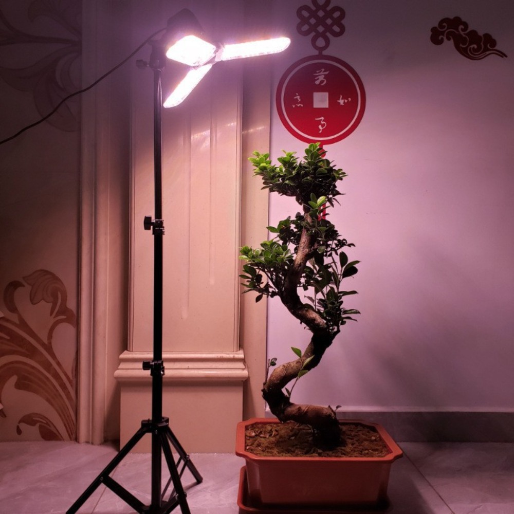 Light Bulb Stand 2M, E27 AC So - Photography Lighting With Umbrella recension och pris