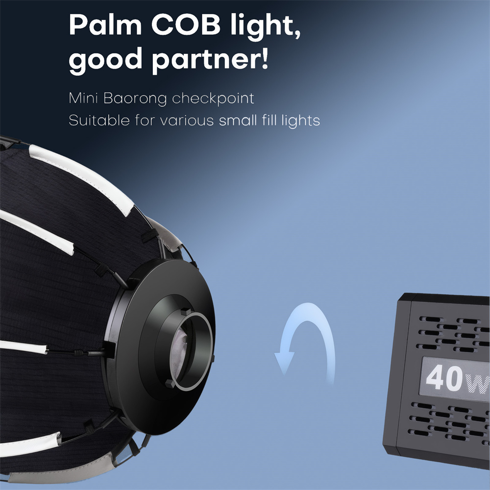 Softbox Mini Bowens Mount Lant - Photography Lighting Modifiers recension och pris