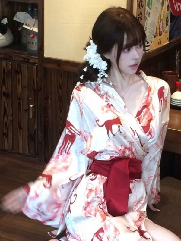New Chinese Style Sleepwear Ha - Photography Lighting Studio recension och pris