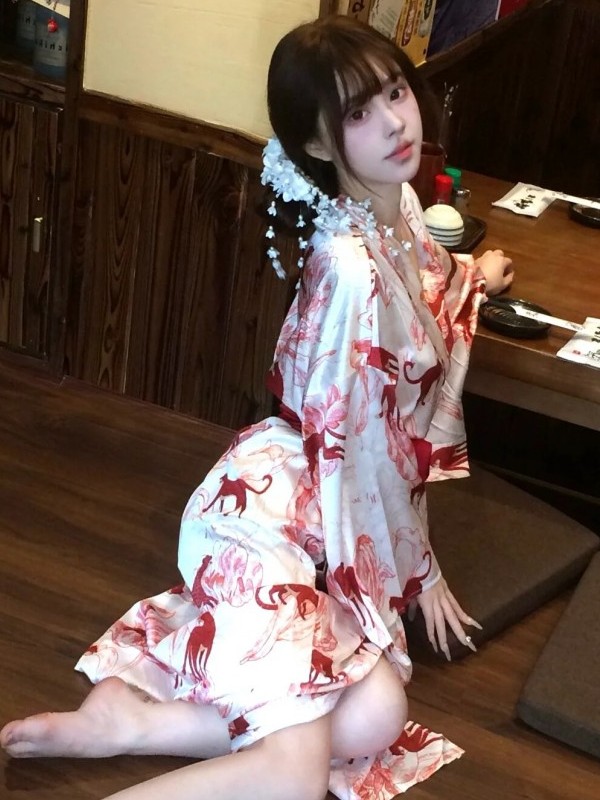 New Chinese Style Sleepwear Ha - Photography Lighting Studio recension och pris